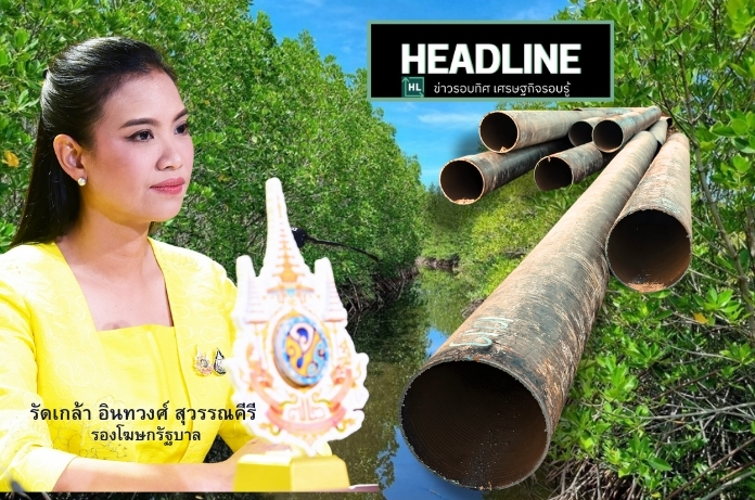 ครม.เปิดทางปตท.วางท่อก๊าซป่าชายเลน